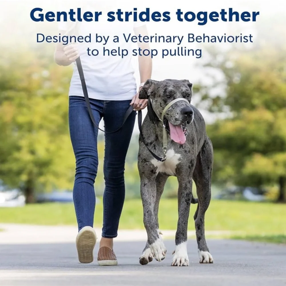 PetSafe Gentle Leader Headcollar No-Pull Dog Collar - Large, Royal Blue